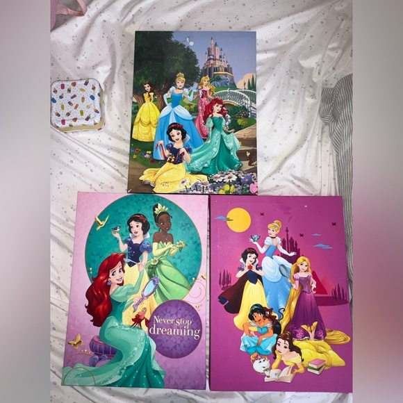 Disney Princess Canvas Art Set